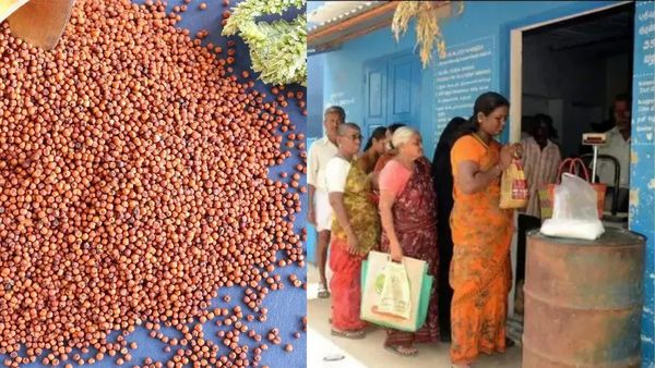 ரேஷனில் 2 கிலோ கேழ்வரகு! தமிழகம் முழுவதும் ராகி எப்போது விநியோகம் தெரியுமா?