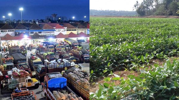 சென்னையன்ஸ்க்கு குட்நியூஸ்..காய்கறிக்கு கோயம்பேடுக்கு அலைய வேண்டாம்! வேளான் பட்ஜெட்டில் செம அறிவிப்பு