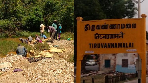 திருவண்ணாமலை, ராஜபாளையத்தில் நிலத்துக்கு அடியில் தங்கம்.. புவியியல் ஆய்வு மையம் சொன்ன குட் நியூஸ்!