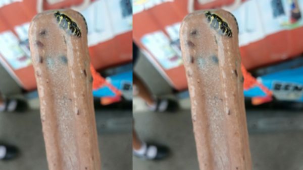 ஐஸ்க்குள் கருப்பா நீளமாக கிடந்த உருவம்! அதிர்ச்சியடைந்த வாடிக்கையாளர்! நெட்டிசன்களை உலுக்கிய சம்பவம்