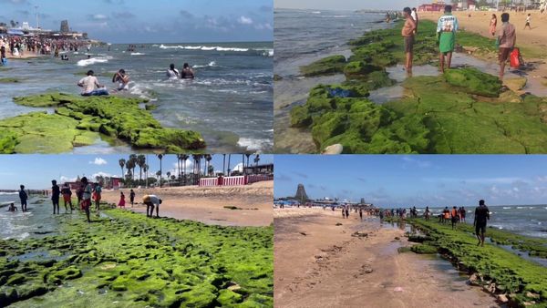 அமாவாசையன்று அதிசயம்.. திருச்செந்தூரில் முருகனின் திருவிளையாடல்! கடலில் பச்சை பச்சையாய்! என்னாச்சு?