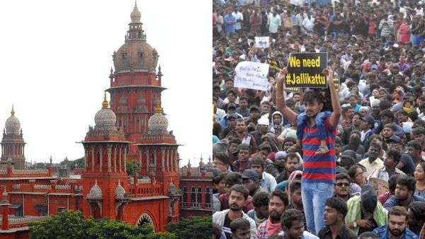 சென்னை ஜல்லிக்கட்டு போராட்டத்தில் வன்முறை! பார்வையிழந்தவருக்கு ரூ 5 லட்சம் வழங்க ஹைகோர்ட் உத்தரவு