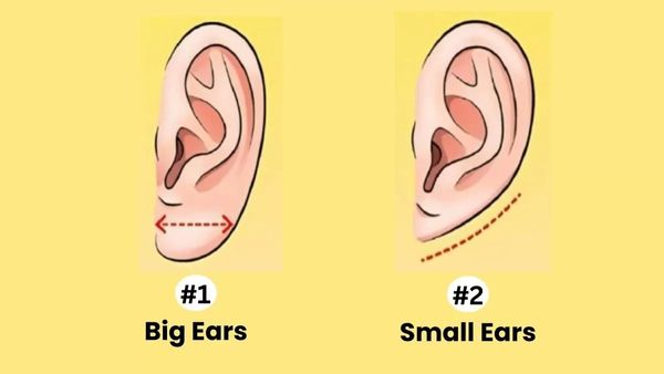 உங்கள் காதுகளை வைத்தே நீங்கள் யார், எப்படிப்பட்டவர்னு புட்டு புட்டு வைத்துவிடுவோமே!