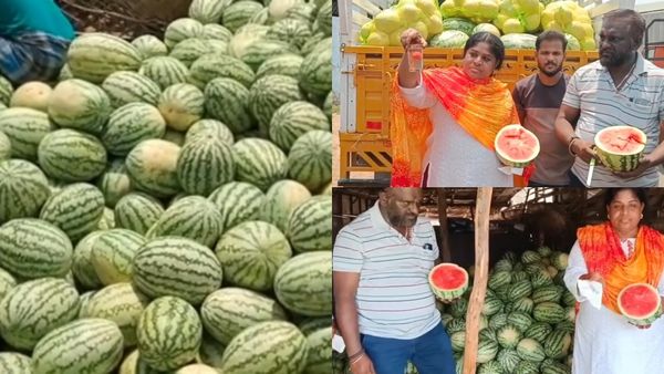 தர்பூசணியில் நிறமி சேர்ப்பா? டிஷ்யூ பேப்பர் + ஒரு டம்ளர் தண்ணீர் போதுமே! ஈஸியாக கண்டுபிடிச்சுடலாம்!