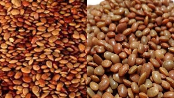 Horse gram: ஒரு கைப்பிடி கொள்ளு பருப்பு போதும்! மளமளனு வெயிட் குறைக்கலாம்! ஊளைச் சதையும் பறந்துடும்!