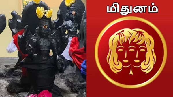 சனிப்பெயர்ச்சி: மிதுன ராசிக்கு கர்ம சனி.. உத்தியோகம், தொழில் செம அதிர்ஷ்டம்.. முழு விவரம் இதோ