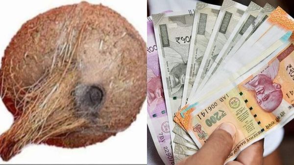 கழுத்தை நெரிக்கும் கடனை விரட்டும் ஏகாக்ஷி நாரியல்.. வீட்டில் மகிழ்ச்சி, பணம் வர இந்த பொருள் போதுமே