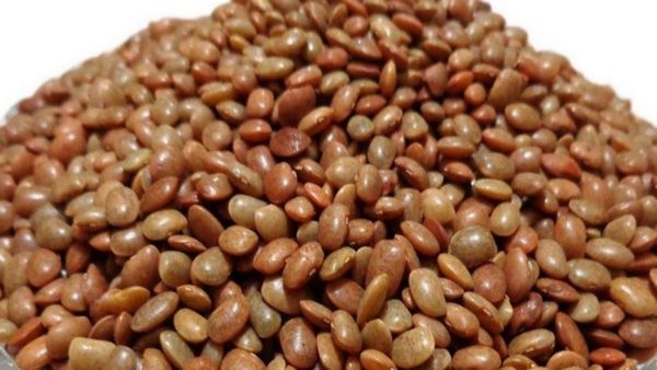 கொள்ளு பயிறு பயன்கள்.. கல்லீரல், கிட்னியை காக்கும் ஊறவைத்த கொள்ளு.. அதிக கொள்ளு தரும் பக்கவிளைவுகள்