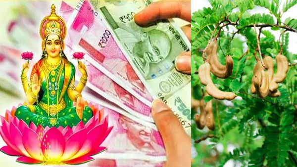 பீரோவுக்கு அடியிலே தம்மாதுண்டு இதை வைங்க.. பீரோவுக்குள் புளியங்குச்சியா? அதிர்ஷ்டம், பணம் கொட்டுமாம்