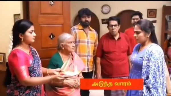 சிறகடிக்க ஆசை அடுத்த வாரம்: பாட்டி கேட்ட சத்தியம்.. ரோகிணியின் குழந்தை உண்மை உடைபடுமா?