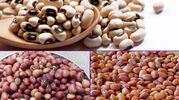 காராமணி கலக்குதே.. சர்க்கரை நோயாளி சாப்பிடலாமா? தலைமுடி உதிர்வு, வெயிட் லாஸுக்கு உதவும் தட்டைப்பயிறு