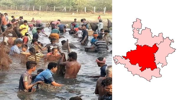 துண்டு வீசியதுமே கூடை கூடையாக மீன்கள்.. குளத்தில் மகிழ்ந்த கிராமம்.. சிலிர்த்த சிவகங்கை சிங்கம்புணரி