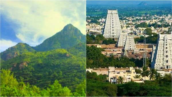 திருவண்ணாமலை மலையில் பிரான்ஸ் நாட்டு பெண்.. யார் அந்த சுற்றுலா வழிகாட்டி.. ஆடிப்போக வைத்த சம்பவம்