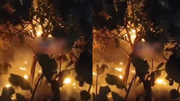 ஏற்காடு வனப்பகுதியில் பற்றி எரியும் காட்டுத்தீ.. இரவிலும் தீயை அணைக்கும் பணி தீவிரம்!