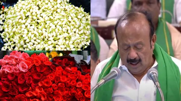 மதுரை மல்லி.. ரோஜா சாகுபடியை ஊக்குவிக்க சிறப்பு திட்டங்கள்.. வேளாண் பட்ஜெட்டில் வெளியான அறிவிப்பு