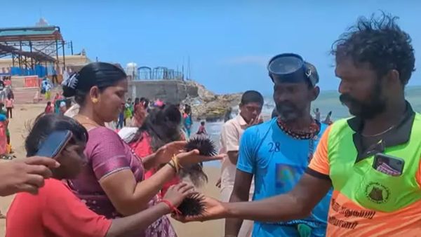 திருச்செந்தூர் முருகன் கோயில் பக்தர்கள் கடலில் குளித்தால்.. சுருக் சுருக்னு குத்துதாமே? இது எப்போ?