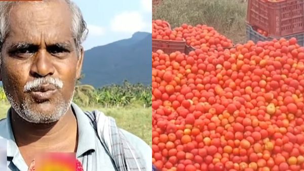இருங்க நவம்பர்ல நான் யாருனு காட்டுறேன்..3க்கு வாங்க ஆள் இல்லை! குப்பையில் தக்காளி..என்னாச்சு பாருங்க