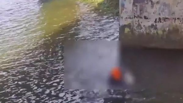 மீனுக்கு விரித்த வலையில் 