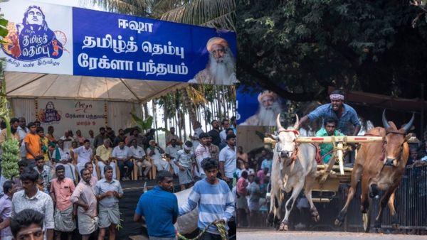 தமிழ் தெம்பு திருவிழாவில் விறுவிறுப்பாக நடைபெற்ற ரேக்ளா பந்தயம்! மாபெரும் நாட்டு மாட்டு சந்தை நிறைவு