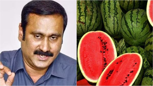 ஊசி மூலம் தர்பூசணி பழத்தை சிவப்பாக்க முடியுமா?.. அச்சப்பட வைத்த சமூக ஊடகங்கள்.. அன்புமணி விளக்கம்