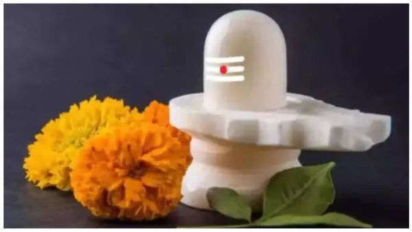 லிங்கத்தை வீட்டில் வைக்கலாமா? சிவலிங்கம் வழிபாட்டில் கிடைக்கும் பலன்! சிவலிங்க பூஜையின் ஸ்பெஷாலிட்டி