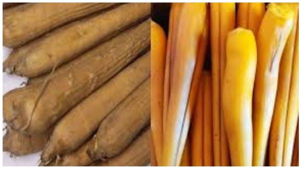 பசித்தவனுக்கு பனங்கிழங்கு.. ஆண்மையை அதிகரிக்க உதவும் கிழங்கு.. கருப்பை கோளாறு, ரத்தசோகையை தீர்க்கும்