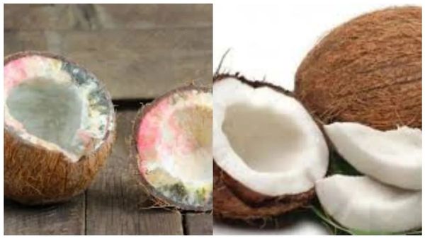 தேங்காய் உடைப்பது ஏன்? கடனிலிருந்து மீள, கூரையை பிச்சிக்கிட்டு பணம் கொட்ட, நோய் தீர சிதறு தேங்காயா?