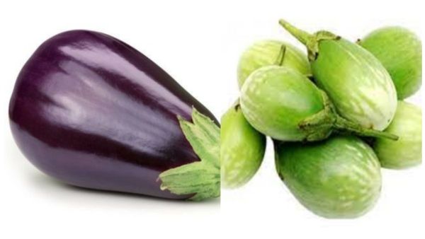 கத்தரிக்காயை சாப்பிட்டால் இத்தனை நன்மை? யார் யார் கத்தரிக்காயை தொட கூடாது? நோயை குணப்படுத்தும் காய்