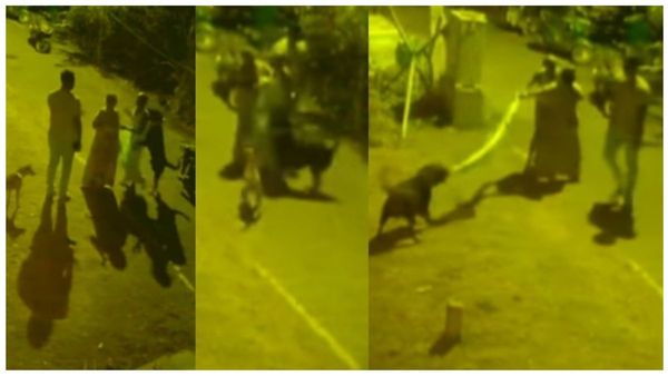 மதுரையில் மொட்டை மாடியில் நின்ற உருவம்.. அதே கொடுமை சென்னையில்.. வயதான தம்பதி மீது பாய்ந்த ராட்வீலர்