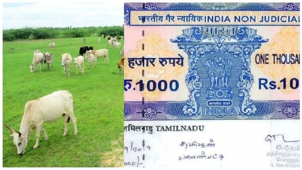 கிராம நத்தம், மேய்க்கால் புறம்போக்கு நிலம்! மீண்டும் முதியோர் ஓய்வூதியம்! தமிழக அரசு 3 ஹேப்பி நியூஸ்