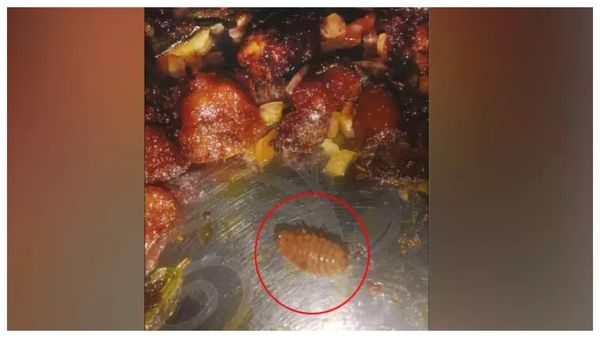 கன்னியாகுமரியில் பீப் கறியில் காத்திருந்த அதிர்ச்சி.. ஹோட்டலுக்கு சீல், 10 ஆயிரம் ஃபைன்