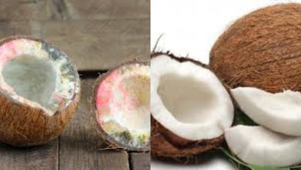 தேங்காய் உடைக்கும் போது நம் கைப்பிடியிலிருந்து தேங்காய் உருண்டோடிவிட்டால்! என்ன ஆகும்?