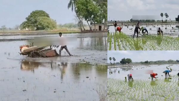 அடுத்த வாரம் எங்க மாமா வர்றாரு! பாதி சம்பளம்..அரிசி கூட போதும்! வயிலில் இறங்கிய வட மாநில தொழிலாளிகள்