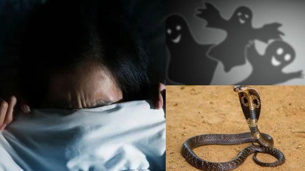 பேய், பிசாசு கெட்ட கனவுகள் வந்தால் கெட்டது நடக்குமா? கனவில் பாம்பு வந்தால்..?