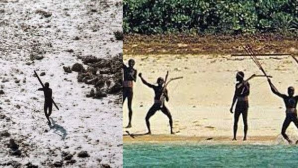 ஆதிவாசிகள் வாழும் சென்டினல் தீவுக்கு.. அமெரிக்கர் சென்றது எப்படி? மதம் பரப்ப சென்றாரா? ஷாக் பின்னணி