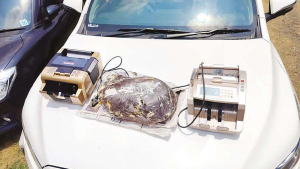 560 கிமீ சிக்காமல் வந்த 'கடல் தங்கம்'.. மதிப்பு மட்டுமே 10 கோடி.. கர்நாடகாவில் சிக்கியது எப்படி?