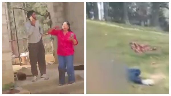 காஷ்மீர்: 