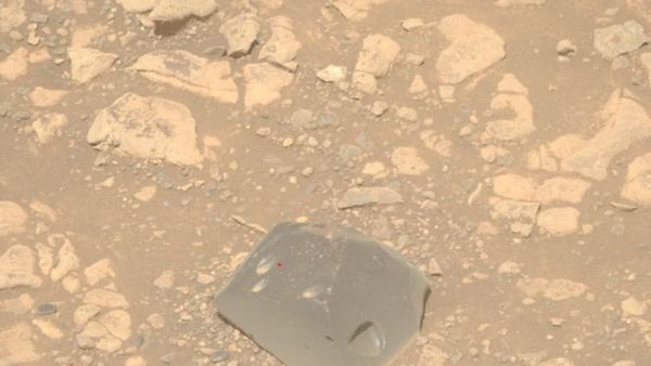 மனித மண்டை ஓடு மாதிரி செவ்வாய் கிரகத்தில் கிடந்த மர்ம பொருள்! எப்படி வந்தது? விஞ்ஞானிகள் தீவிர ஆய்வு