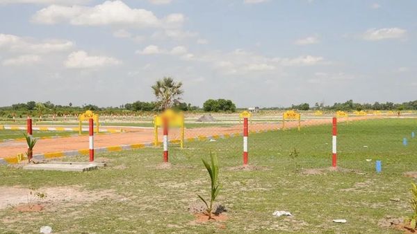 பட்டா வாங்குவோருக்கு இனிப்பான செய்தி... நில அளவீடு இப்போது மிக எளிது.. திருப்பூர் கலெக்டர் தகவல்