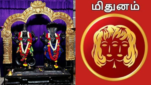 ராகு கேது பெயர்ச்சி: மிதுனத்துக்கு பிரச்சனைகள் முடிஞ்சுது.. இனி குஷியான காலகட்டம்.. தங்கமழை பெய்யும்