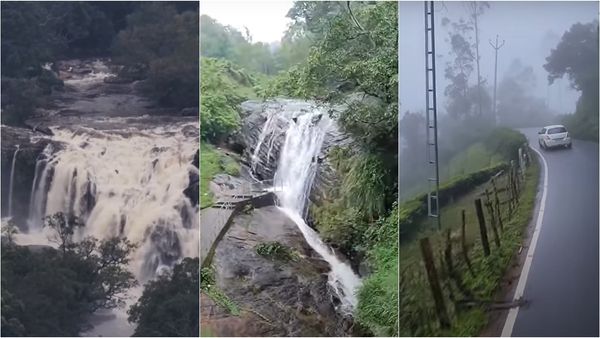 கடவுள் தேசத்தின் கனவுலகம்.. உடுமலைப்பேட்டை டூ மூணாறு போறீங்களா.. மறையூரில் மறைந்திருக்கும் வில்லன்