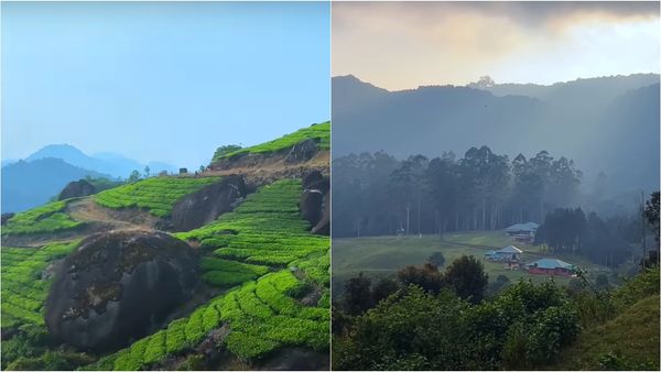 மூணாறு டூ கொடைக்கானல் சாலை.. வாழ்வில் ஒரு முறையாவது போக வேண்டிய 'பாம்பு நடனமாடும் காடு'