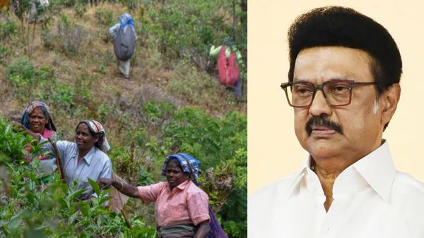 மாஞ்சோலை தொழிலாளர்களுக்கு விலையின்றி வீடு.. நிதி ஒதுக்கி அரசாணை வெளியிட்டது தமிழக அரசு!