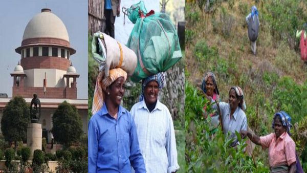 மாஞ்சோலை குடும்பங்களுக்கு மறுவாழ்வு திட்டங்களை தமிழக அரசு தொடர வேண்டும் - உச்சநீதிமன்றம்