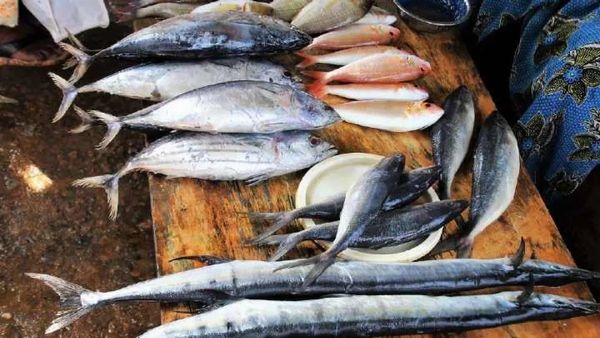 வஞ்சிரமே..வஞ்சிரமே..சிலுப்பிகிட்டு போகுது சீலா.. நகர மாட்டேங்குது நகரை! பாக்கெட் நாளைக்கு காலி தான்!