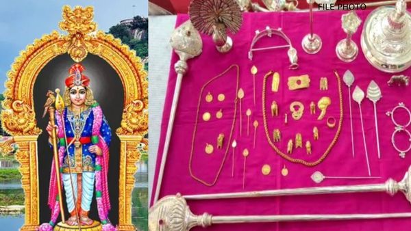 ஏழுமலையானுக்கே டஃப் கொடுக்கும் நம்ம பழனிமலையான்! கொட்டிக் கிடந்த தங்கம்..சிலிர்க்க வைத்த பக்தர்கள்!