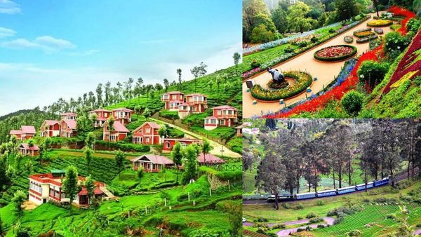 சென்னையில் இருந்து 4 மணி நேரத்தில் போகலாம்.. ஏழைகளின் ஊட்டி! ஏலகிரியில் மிஸ் பண்ணவே கூடாத இடங்கள்!