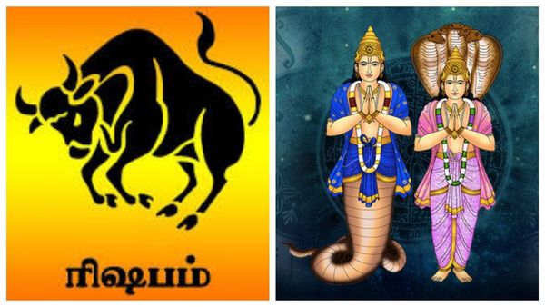 ராகு கேது பெயர்ச்சி: ரிஷப ராசிக்கு நல்ல நேரம் ஆரம்பம்.. பிரகாசமாக மாறும் வாழ்க்கை.. பண மழை கொட்டும்