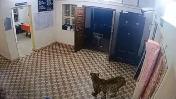 விருந்தாளியாய் நீலகிரிக்கு வந்து.. கூடலூர் இன்ஸ்பெக்டர் ரூமில் நுழைந்து.. அப்படியே மலைத்து போன ஏட்டு