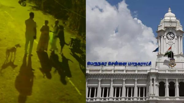 முதியவரை நிர்வாணமாக்கி கடித்த ராட்வீலர் நாய்.. காற்றில் பறக்கும் சென்னை மாநகராட்சி உத்தரவு